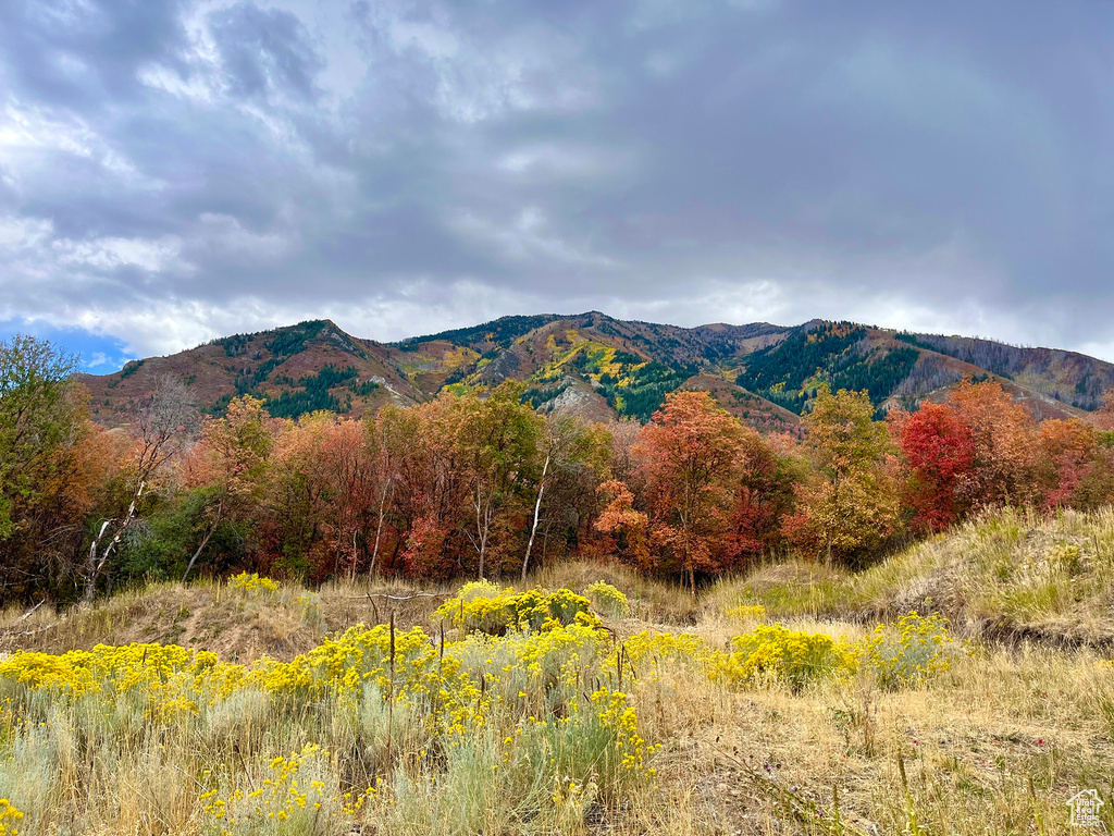 Mountain view