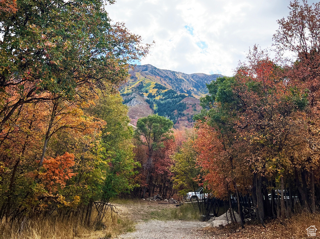 Property view of mountains