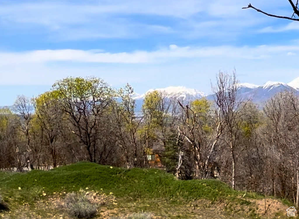 View of landscape with a mountain view