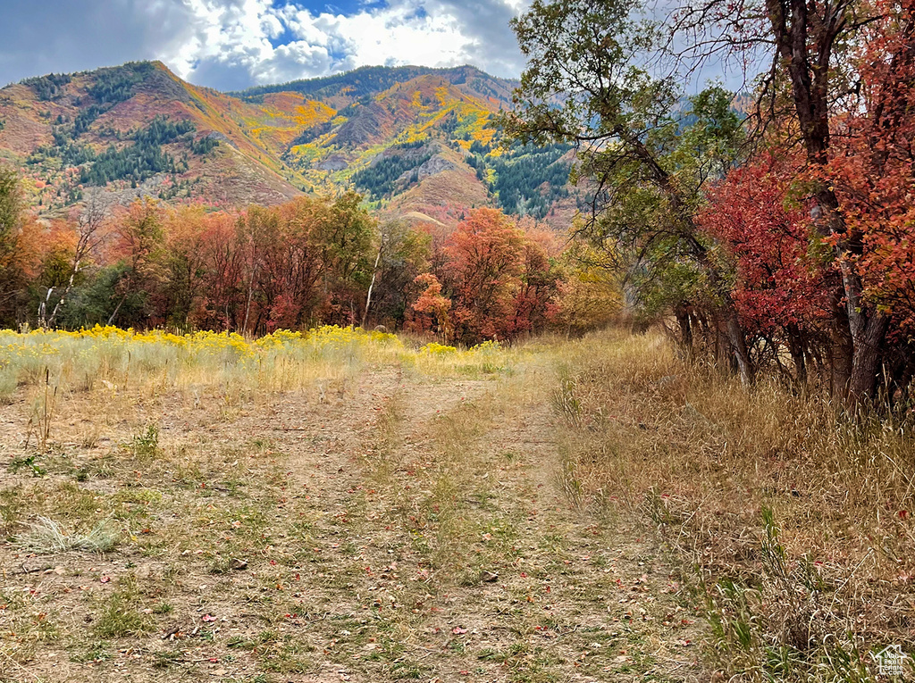 View of mountain feature