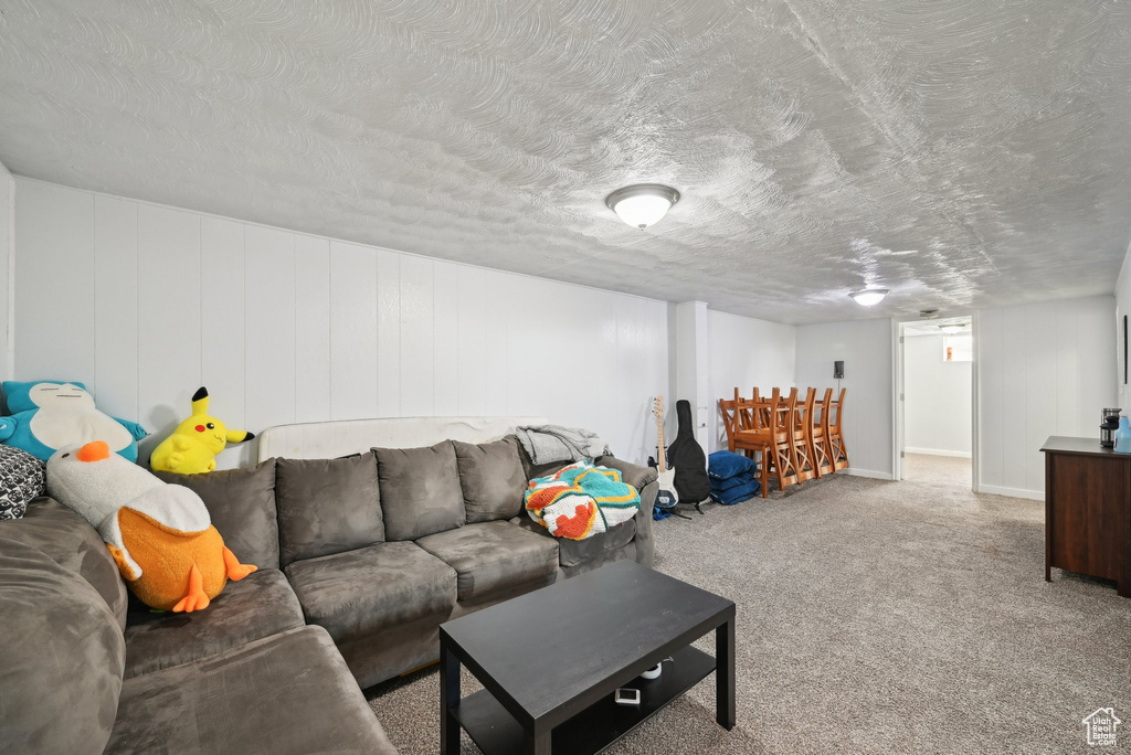 Carpeted living area with a textured ceiling