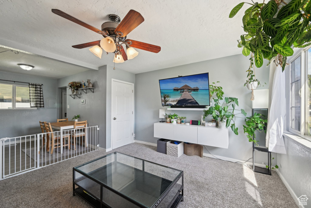 Living room with carpet floors, a ceiling fan, baseboards, and a textured ceiling