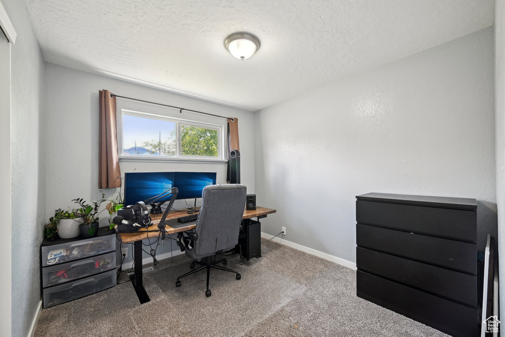 Office with a textured ceiling, baseboards, and carpet
