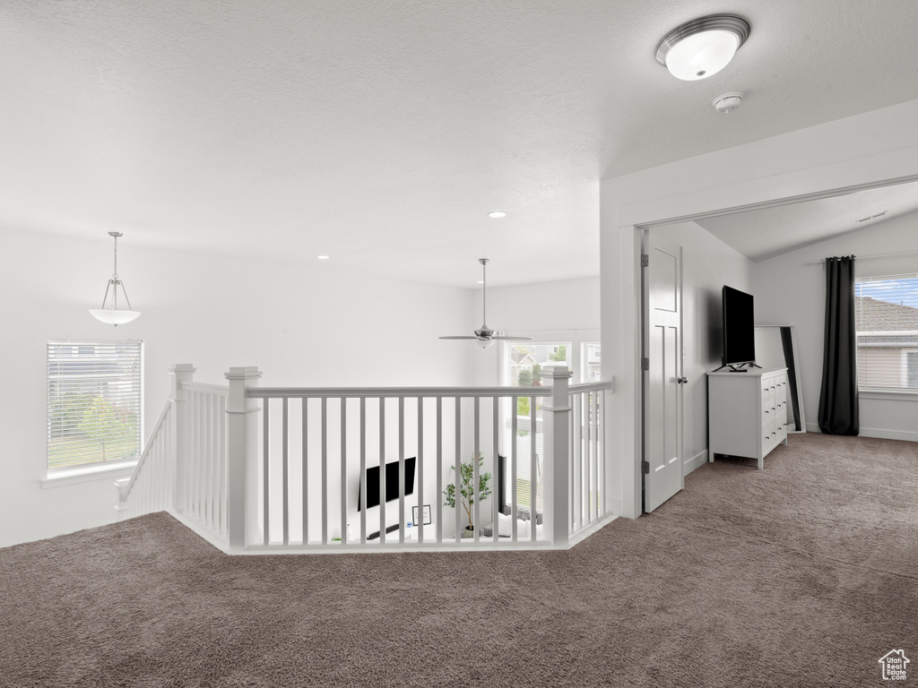 Corridor featuring a wealth of natural light, carpet, and an upstairs landing