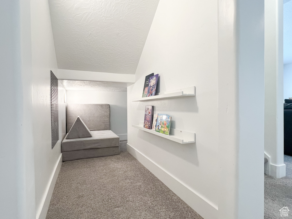 Interior details featuring carpet flooring, a textured ceiling, and baseboards
