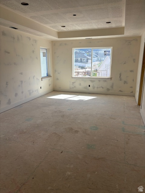 Unfurnished room with a raised ceiling and a healthy amount of sunlight