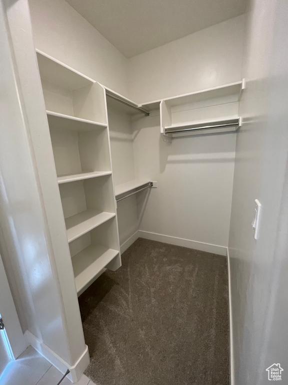 Walk in closet featuring dark colored carpet