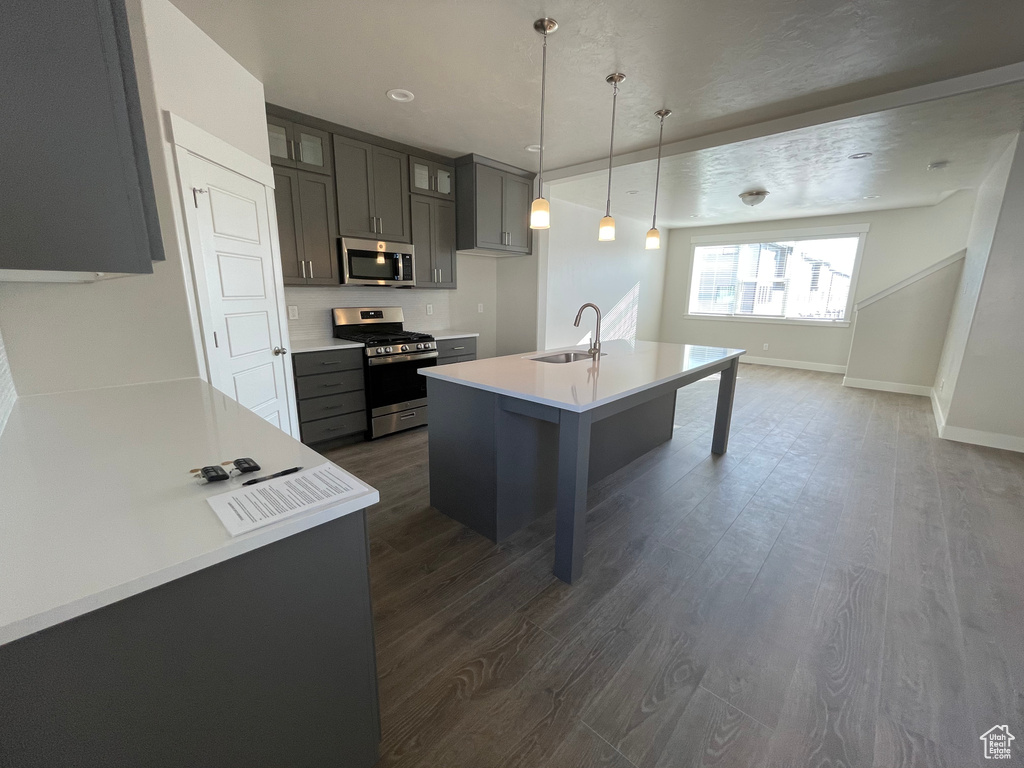 Kitchen with stainless steel appliances, a sink, dark wood-type flooring, and glass insert cabinets