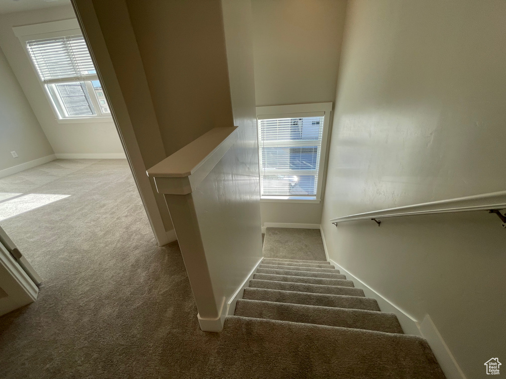 Stairway with carpet floors, healthy amount of natural light, and baseboards