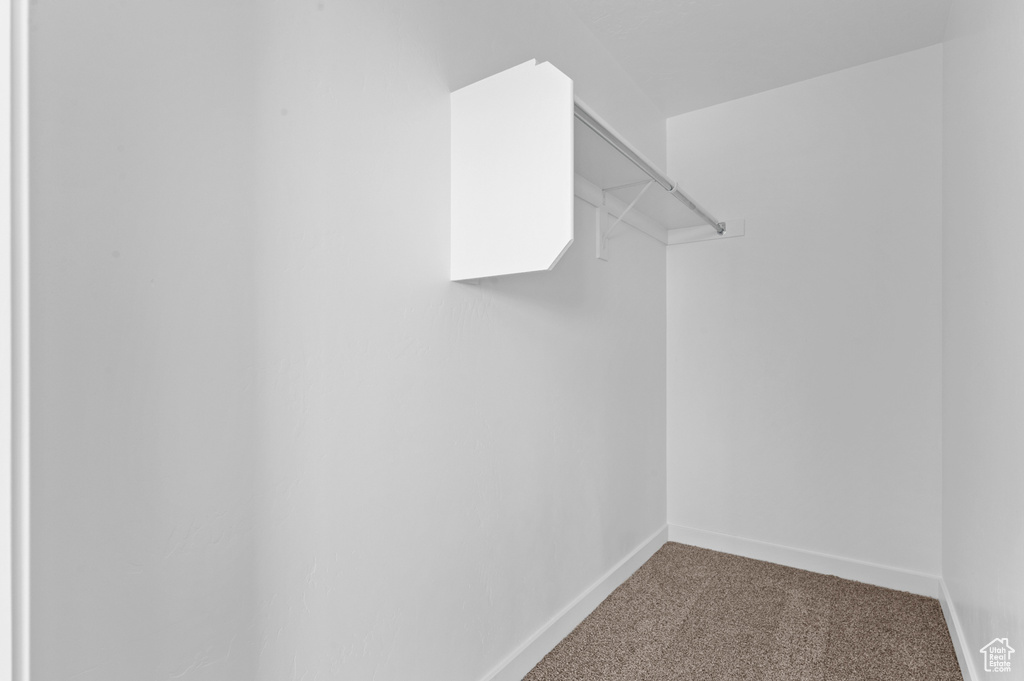 Spacious closet featuring carpet floors