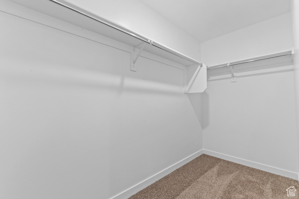 Spacious closet featuring carpet floors
