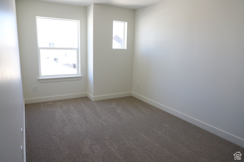 Unfurnished room with baseboards, plenty of natural light, and light colored carpet