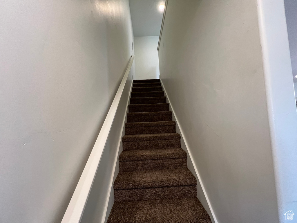 Stairs featuring carpet floors