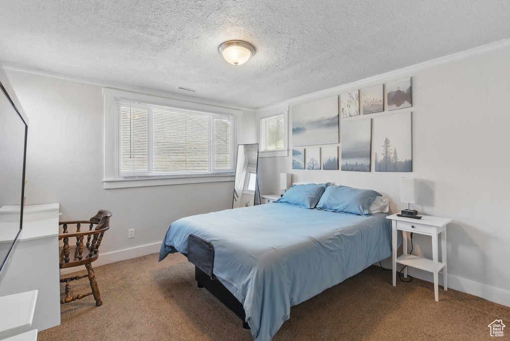 Bedroom featuring carpet floors, a textured ceiling, baseboards, and multiple windows
