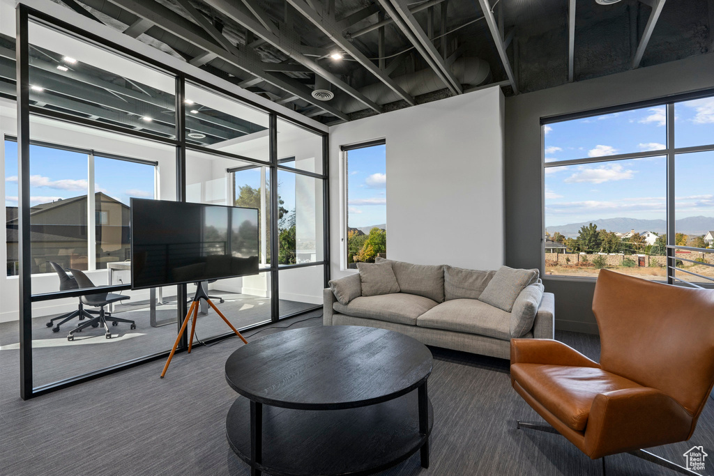 Living area with a healthy amount of sunlight
