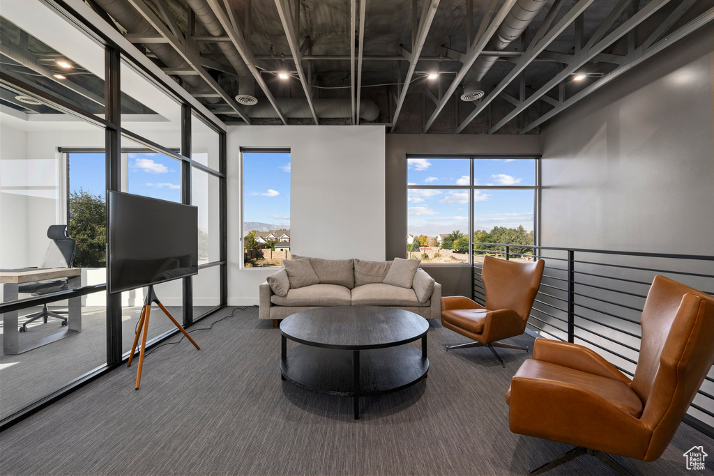 Living area featuring carpet floors