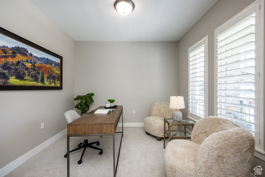 Home office featuring baseboards, carpet flooring, and a healthy amount of sunlight