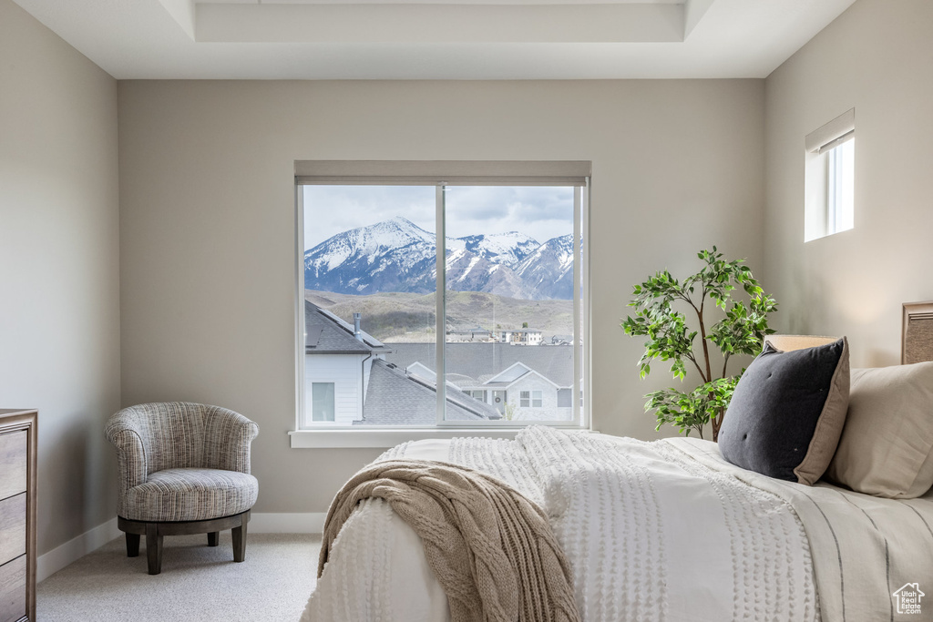 Carpeted bedroom featuring baseboards and a raised ceiling
