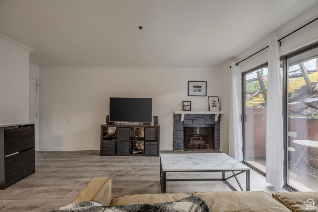 Living area featuring baseboards, wood finished floors, and a fireplace