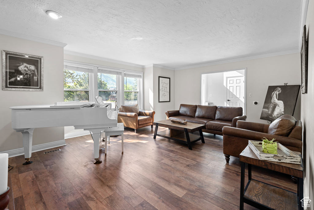 Living room featuring a textured ceiling, dark wood-style flooring, and crown molding
