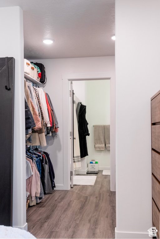 Spacious closet featuring wood finished floors