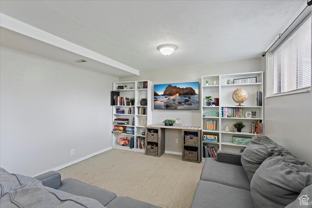 Carpeted living area featuring baseboards and a textured ceiling
