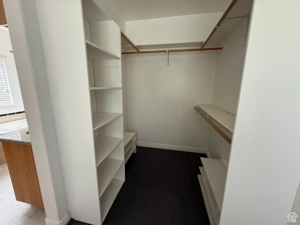 Walk in closet with carpet