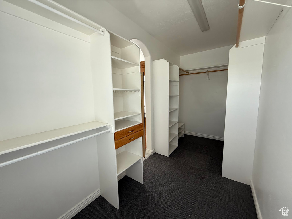 Walk in closet with dark colored carpet