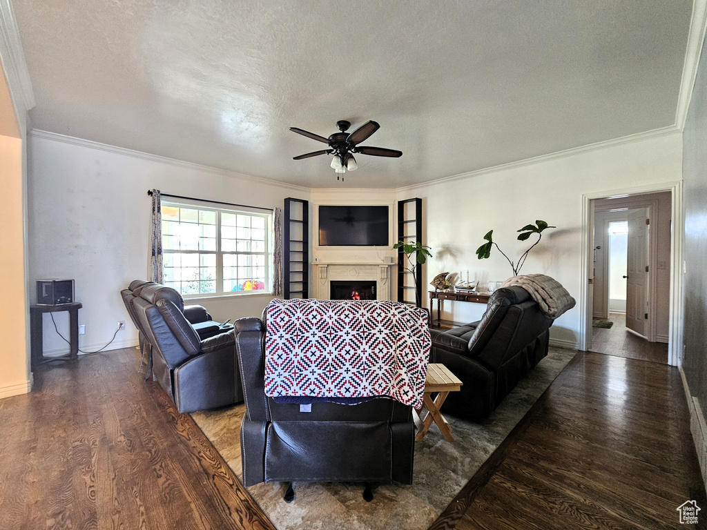 Living room with a lit fireplace, a ceiling fan, wood finished floors, baseboards, and ornamental molding