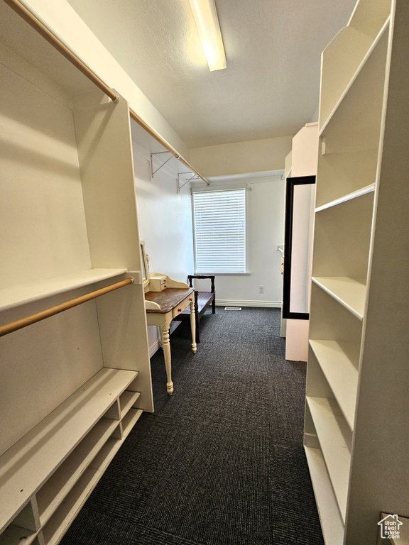 Spacious closet featuring dark carpet