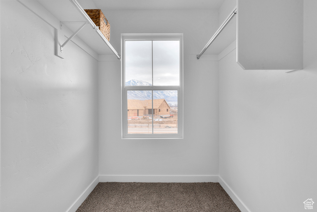 Spacious closet featuring carpet floors
