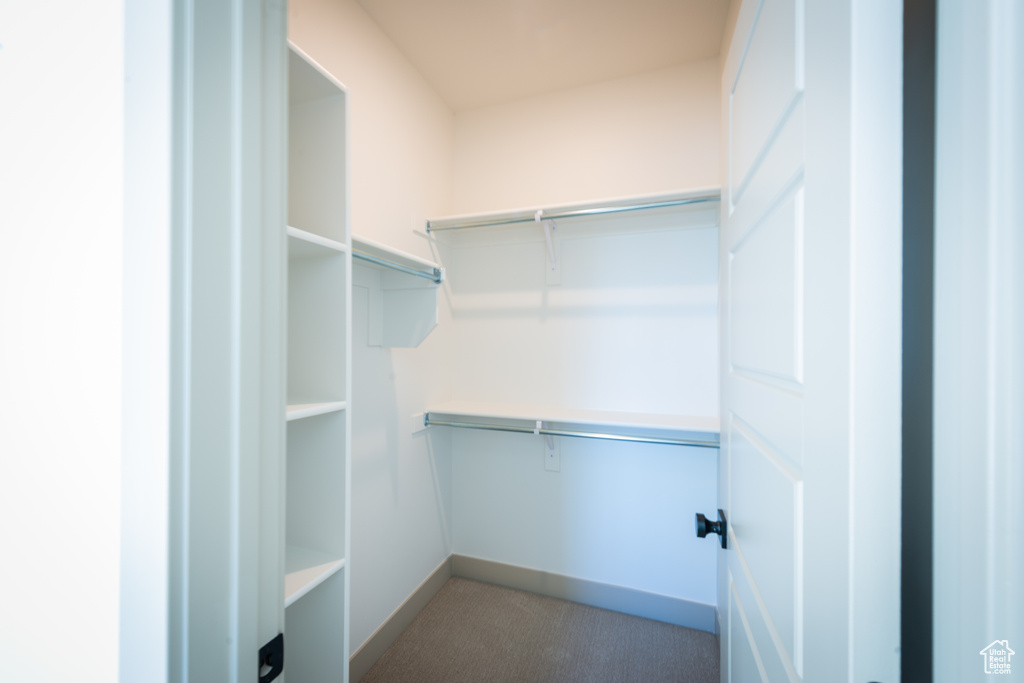 Spacious closet with carpet