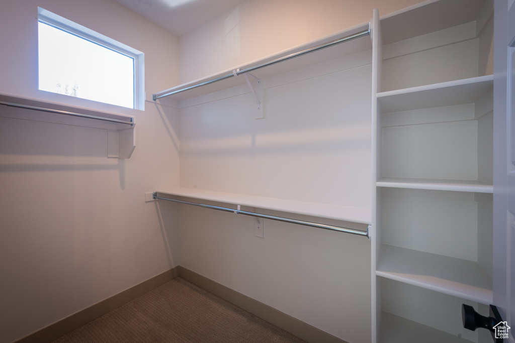 Spacious closet featuring dark colored carpet