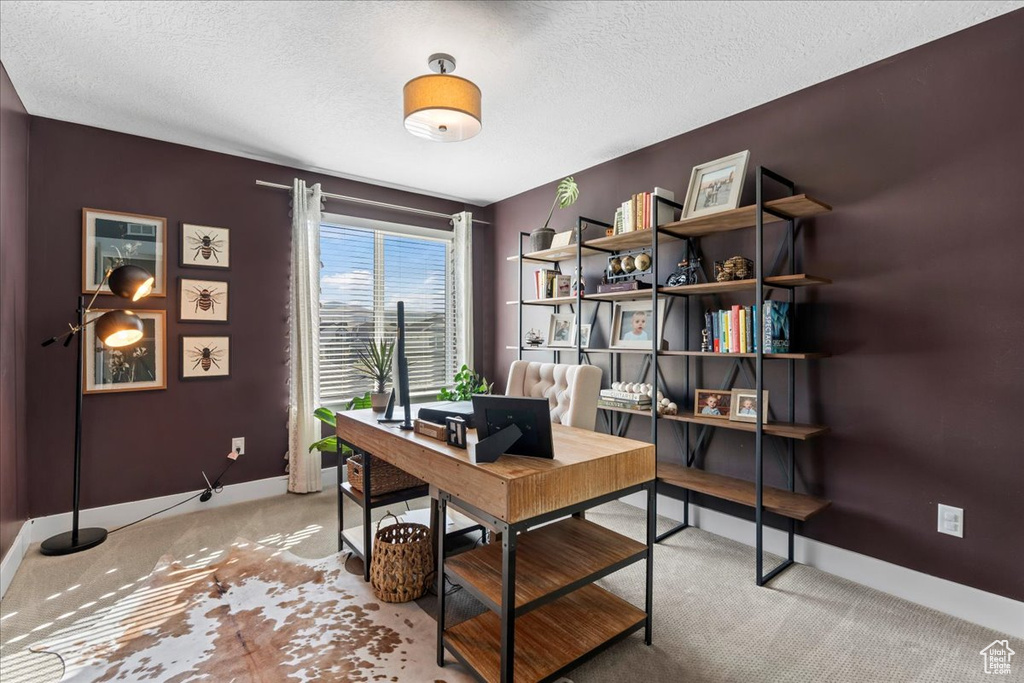 Office space with a textured ceiling, baseboards, and light carpet