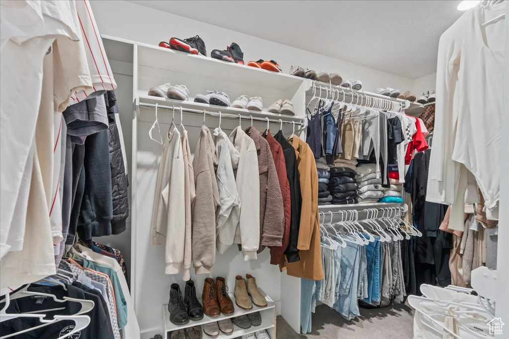 Spacious closet with carpet flooring