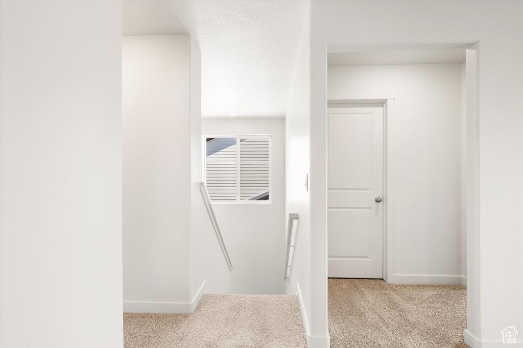 Stairs with carpet flooring and baseboards