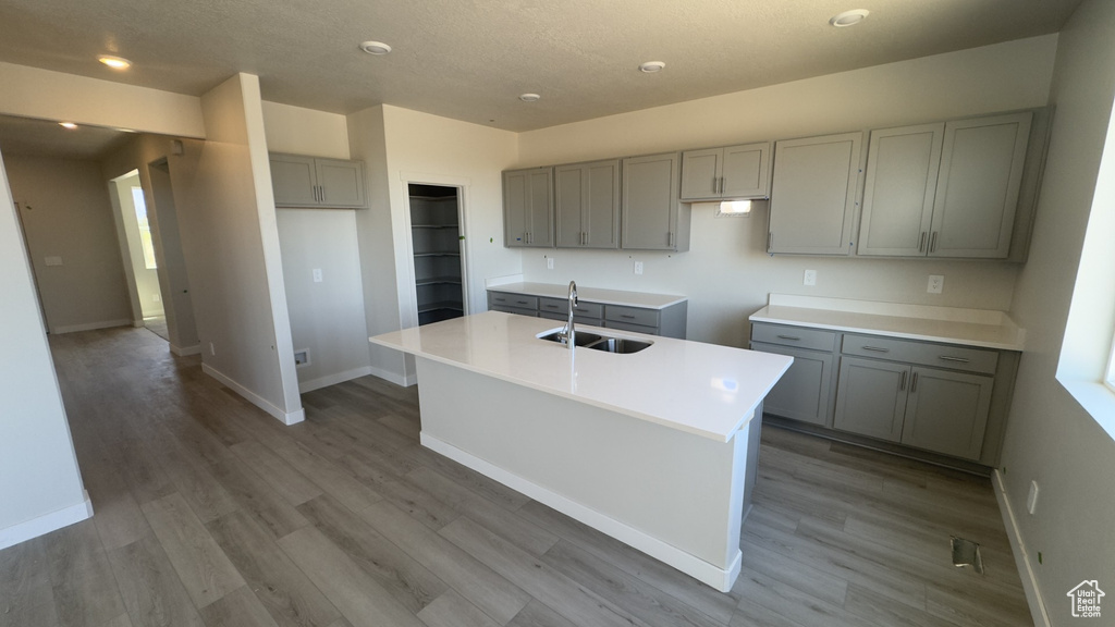 Kitchen with wood finished floors, a kitchen island with sink, baseboards, gray cabinets, and a sink