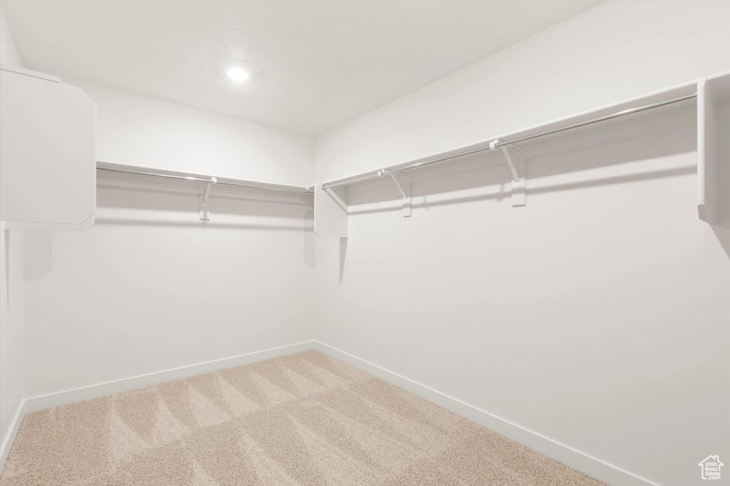 Walk in closet featuring carpet floors