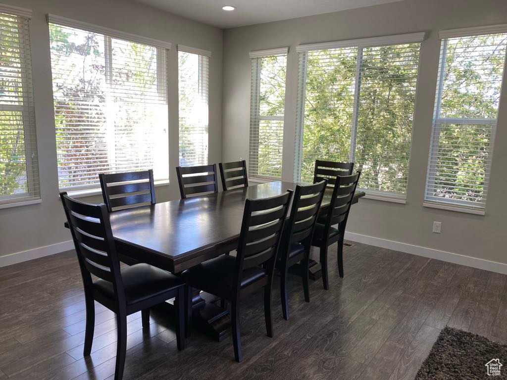 Dining room featuring baseboards, a wealth of natural light, and dark wood-type flooring