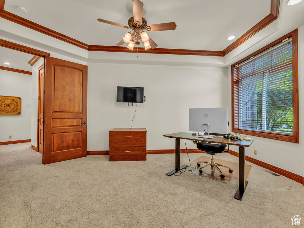 Office space with crown molding, carpet, and baseboards