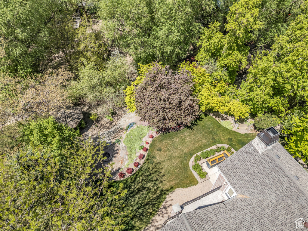 Bird\'s eye view