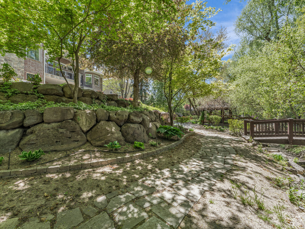 View of yard featuring a patio and a deck