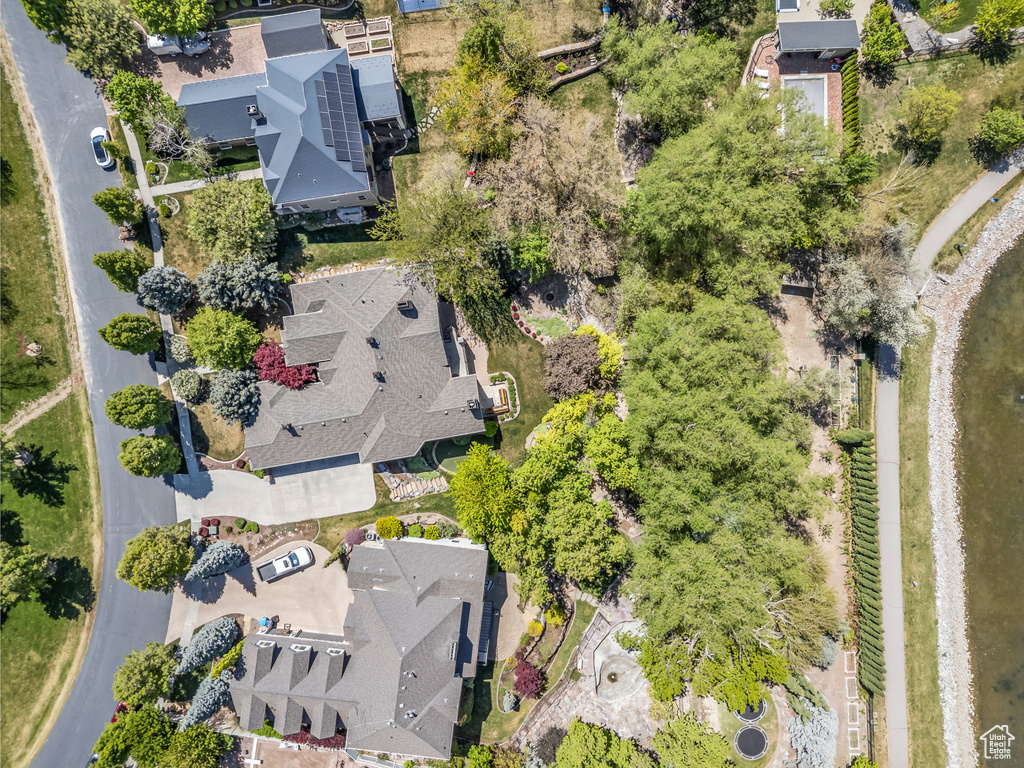 Bird\'s eye view