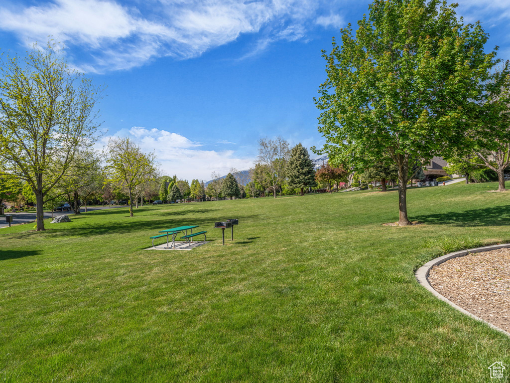View of community with a lawn