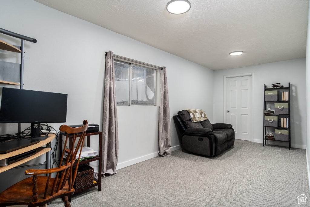 Living area featuring baseboards and carpet flooring