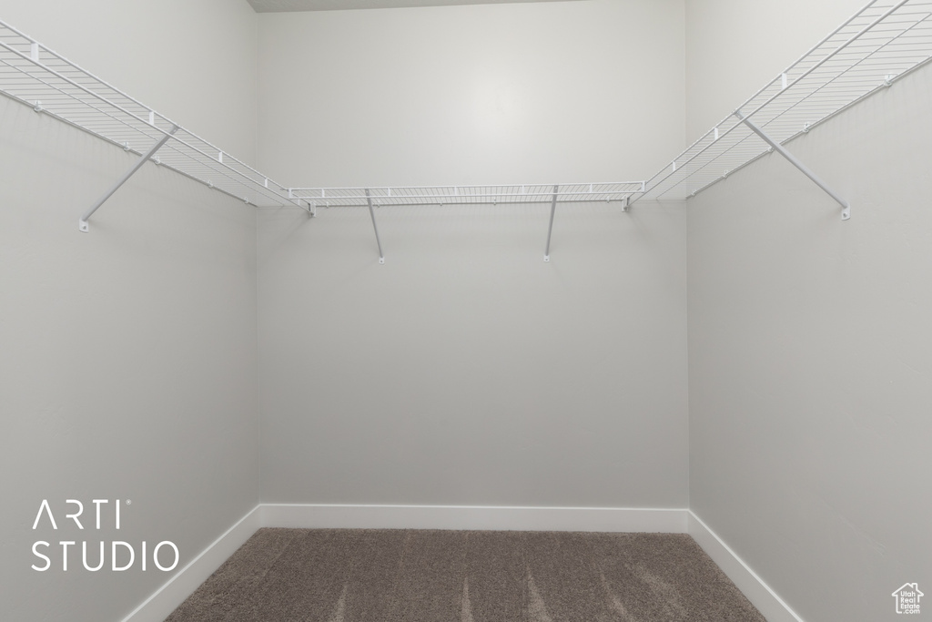 Walk in closet with carpet flooring