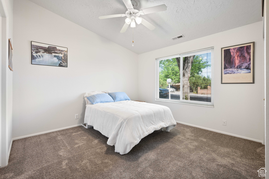 Carpeted bedroom with baseboards, lofted ceiling, a textured ceiling, and visible vents