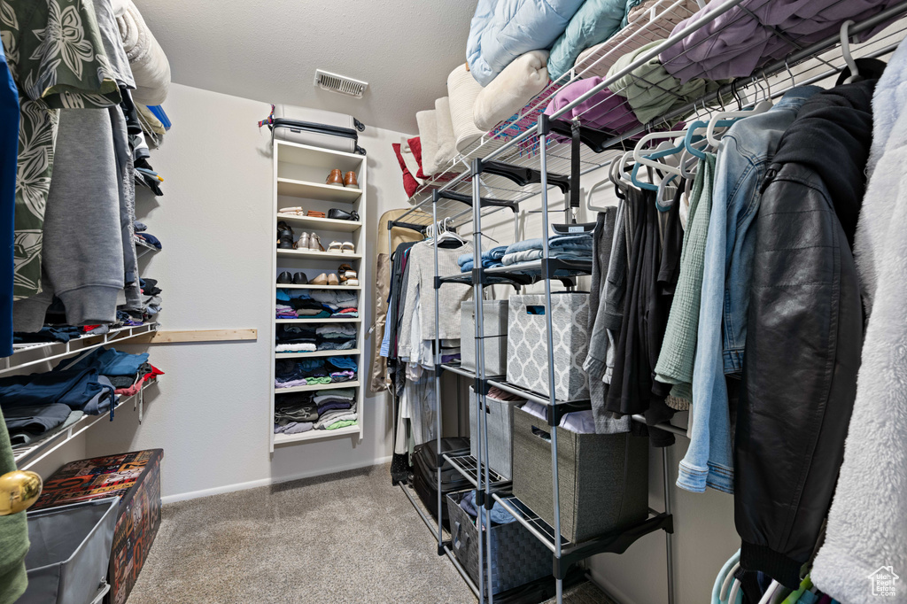 Spacious closet with carpet and visible vents