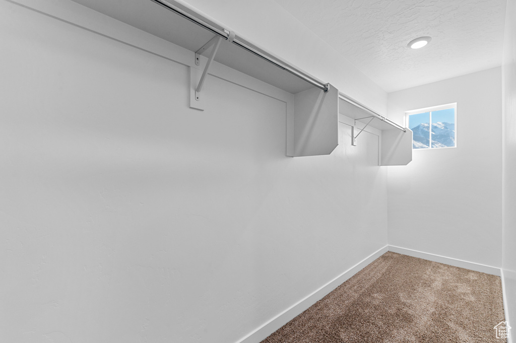 Spacious closet featuring light carpet