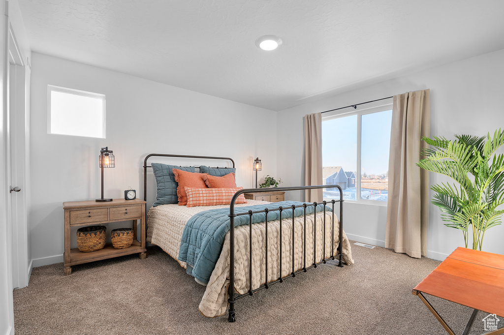 Bedroom featuring carpet floors, baseboards, visible vents, and multiple windows